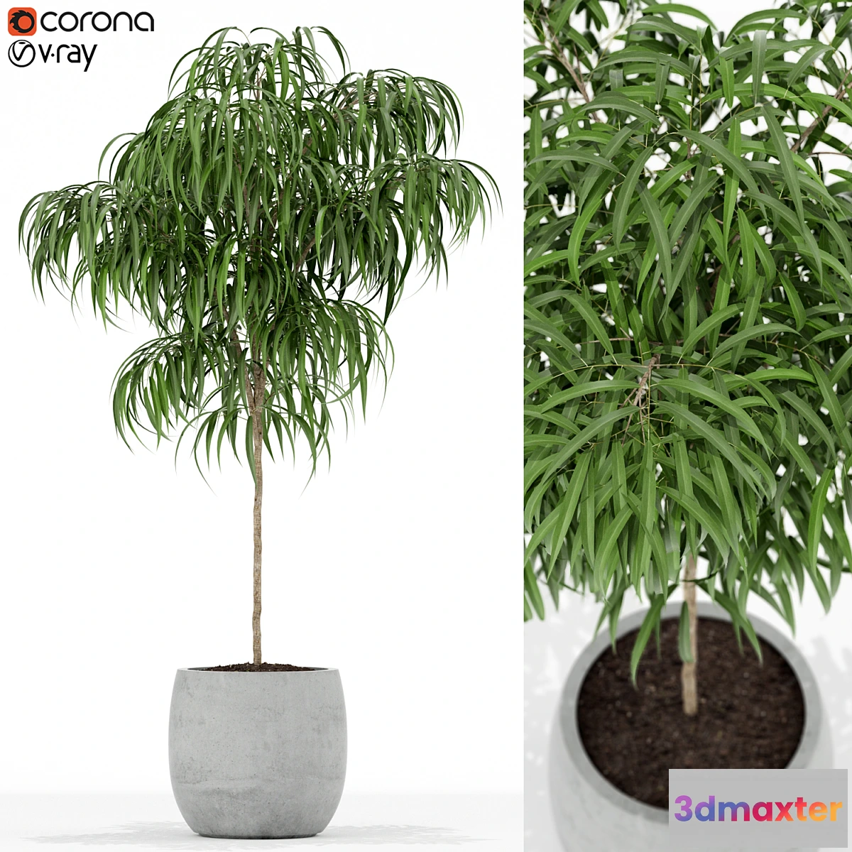 1414584 - Plants collection 155 3D Max