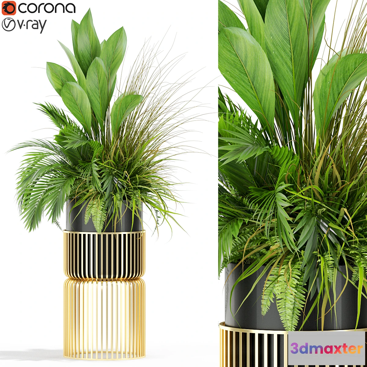 1415856 - Plants collection 433 3D Max