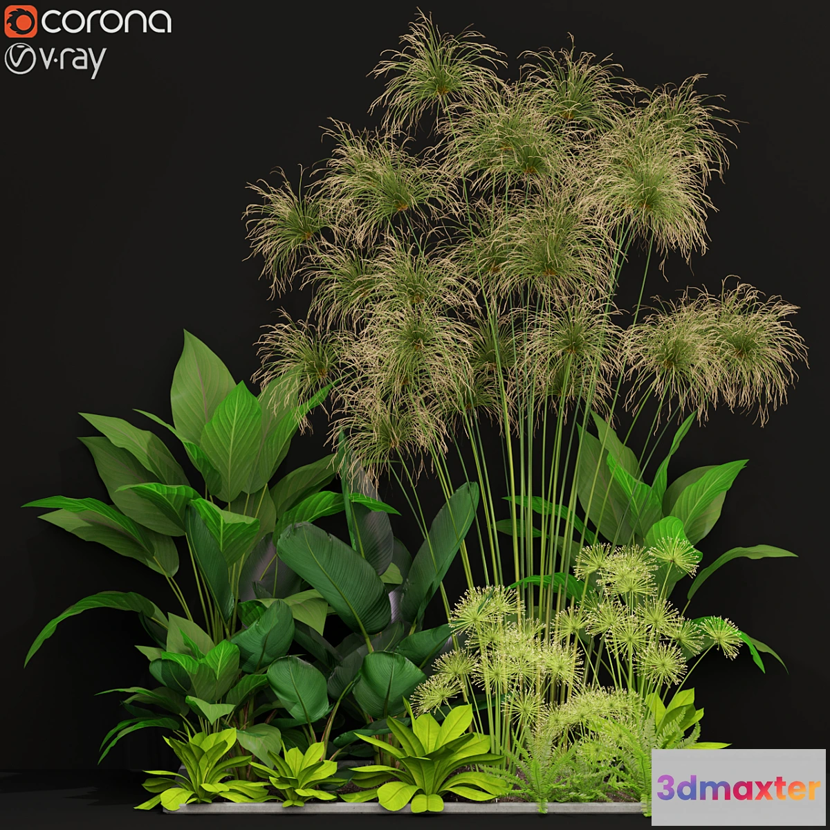 1416742 - Plants collection 241 3D Max