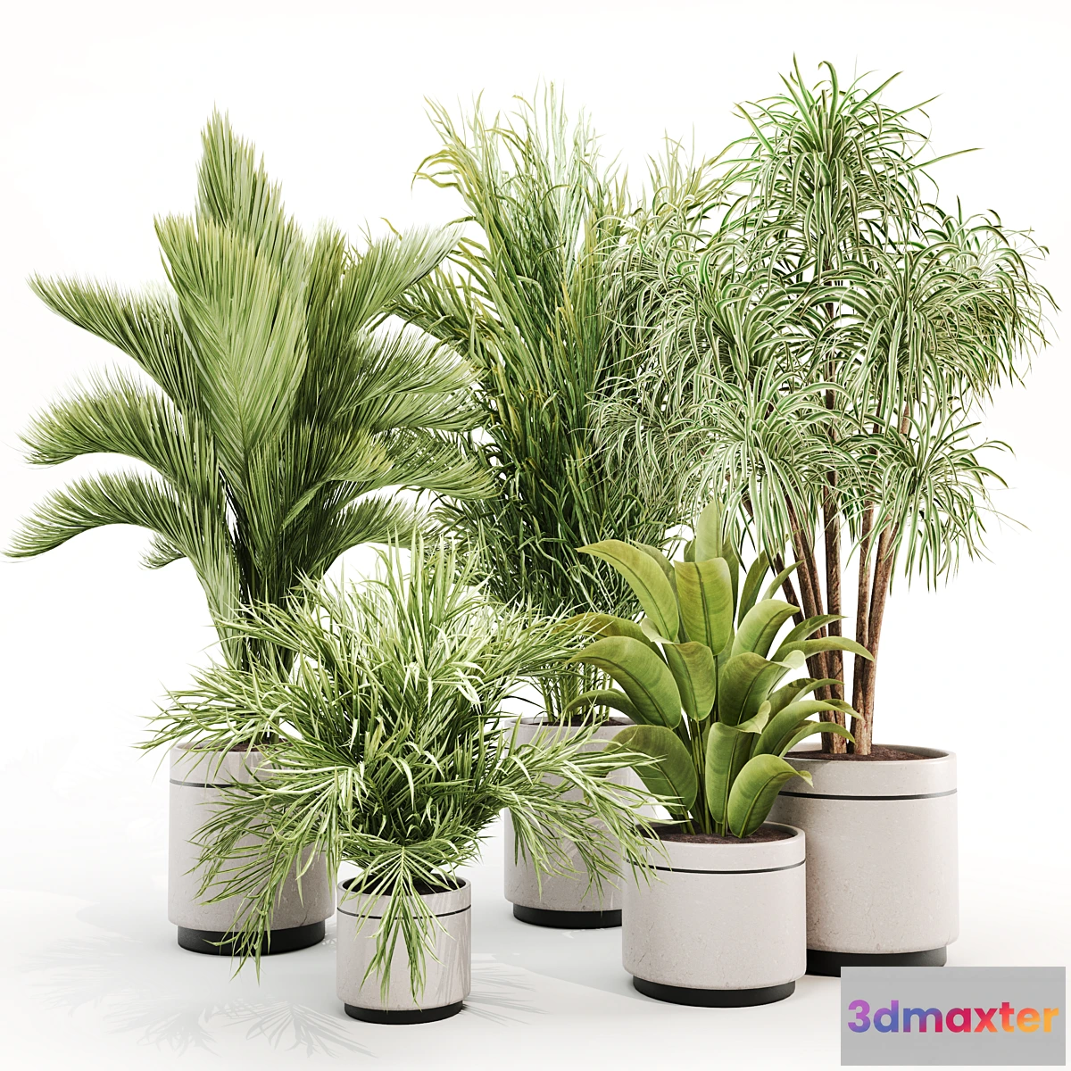 1418564 - IndoorPlantSet015 3D Max