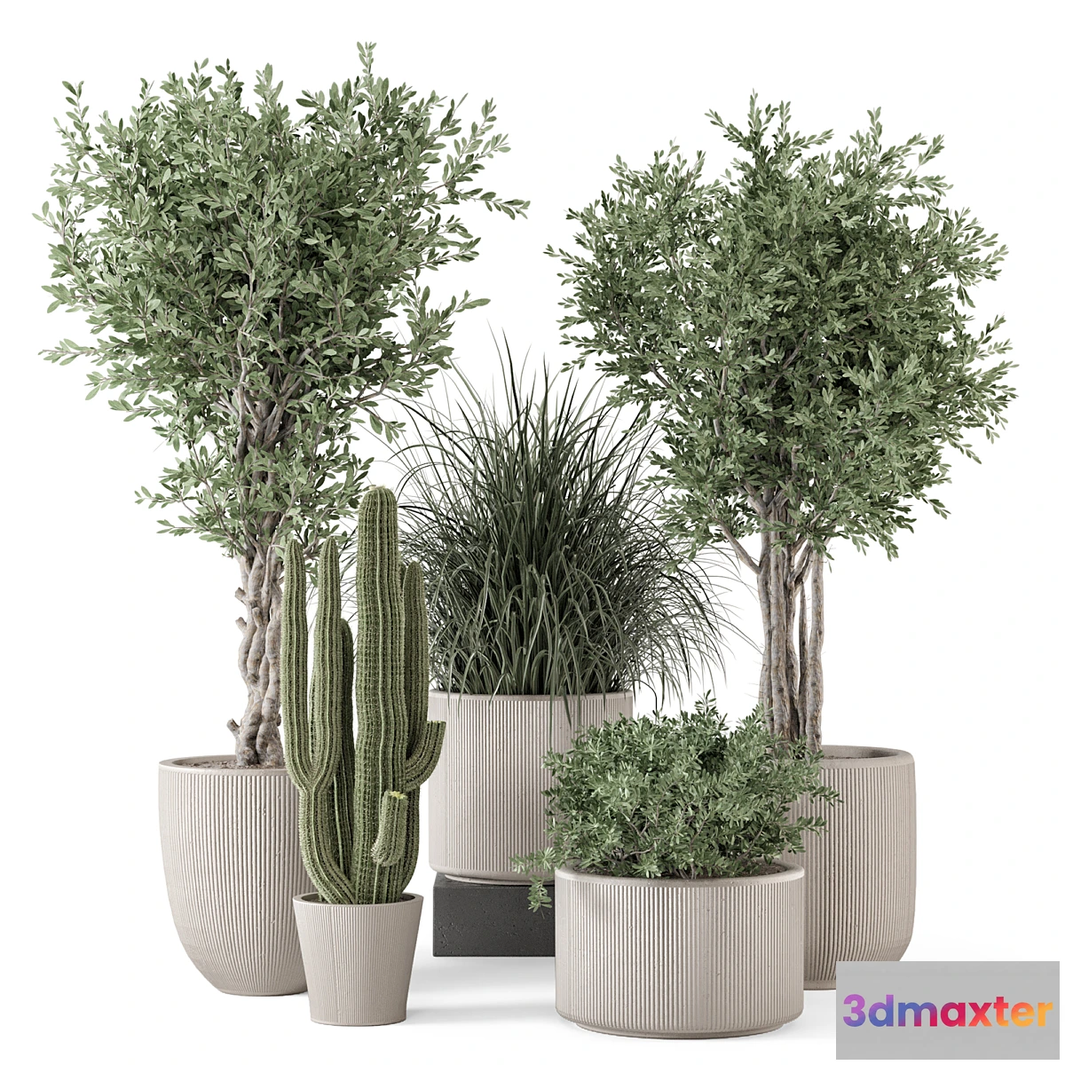 1419704 - Indoor Plants in rusty Concrete Pot - Set 1911 3D Max