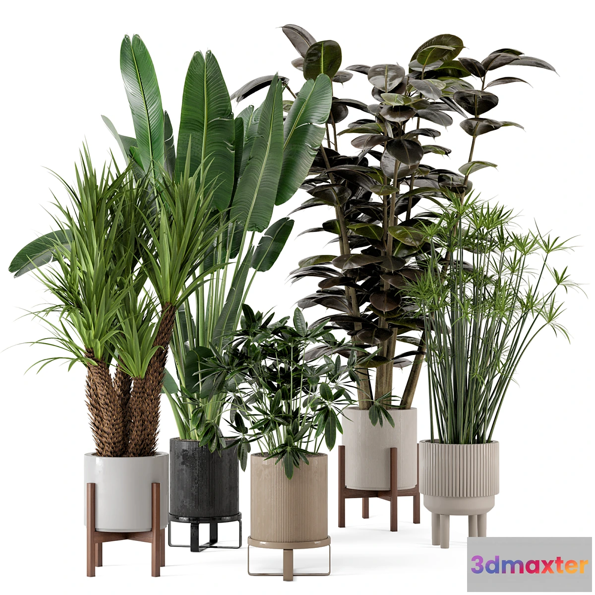 1419876 - Indoor Plants in Ferm Living Bau Pot Large - Set 235 3D Max