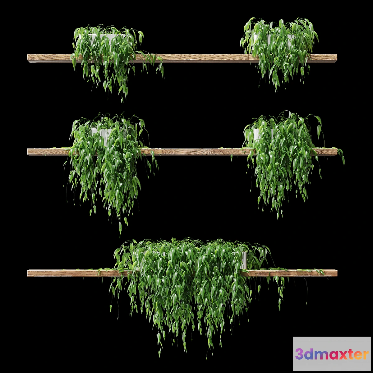 1419888 - Potted plants on the shelves v2 3D Max