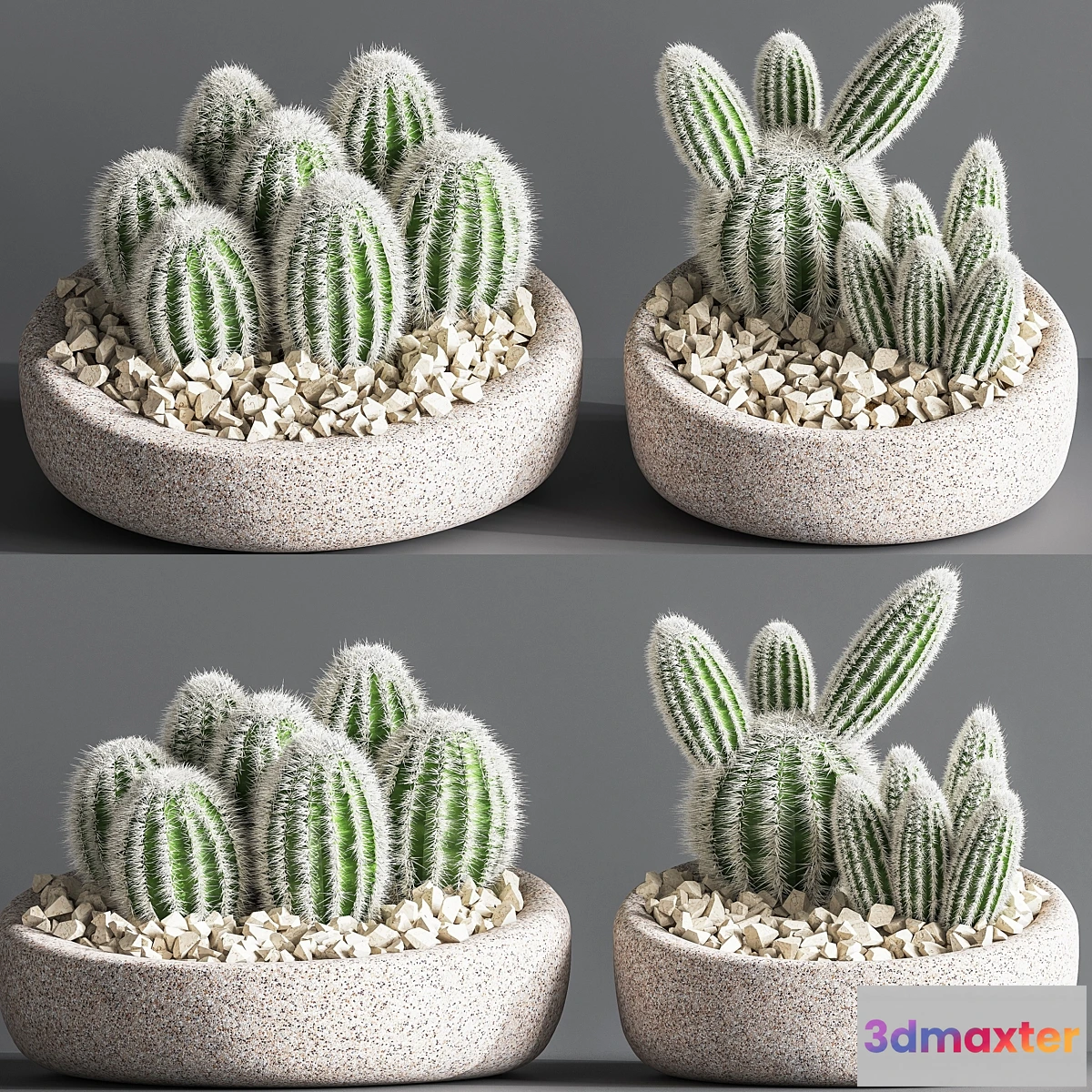 1420150 - Cactus_01 3D Max