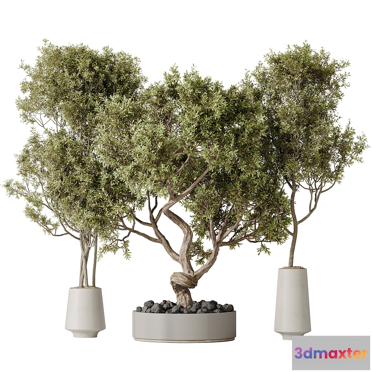 1420892 - Indoor plant set 54 3D Max