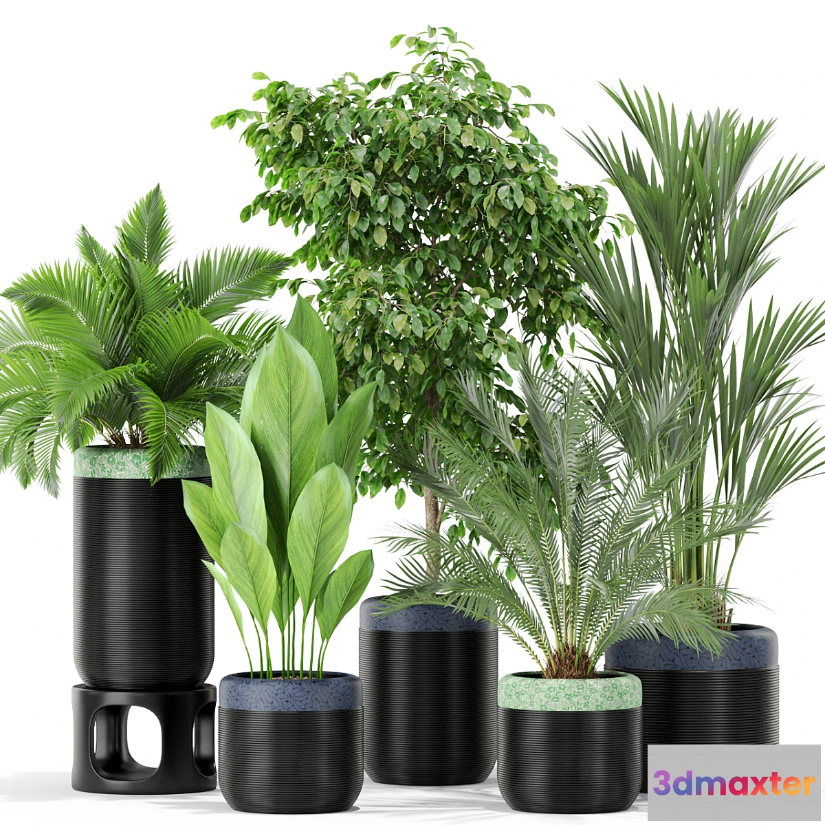 1421072 - Plants collection 443 3D Max