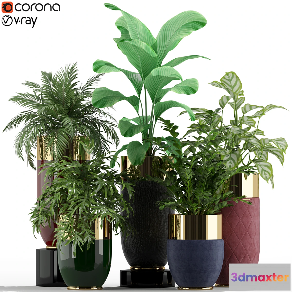 1421822 - Plants collection 233 Longhi godwin 3D Max