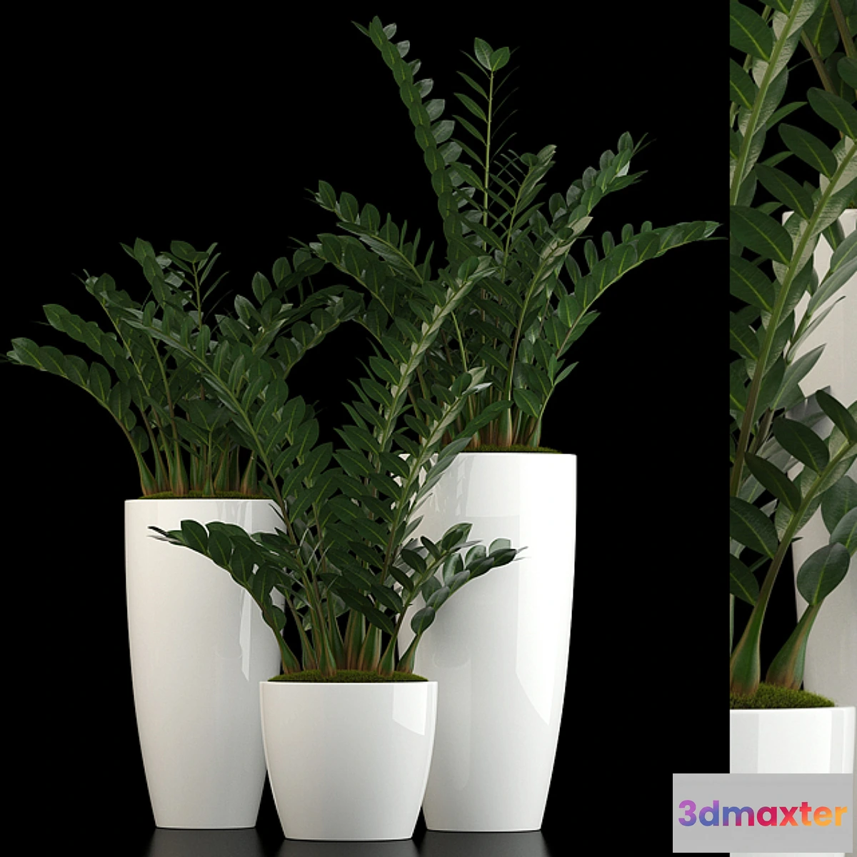 1422614 - Plants collection 56 3D Max