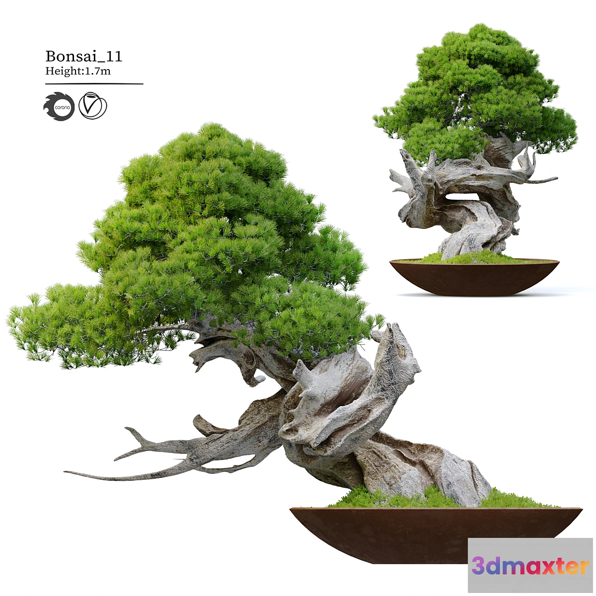 1422714 - Bonsai plant 11 3D Max