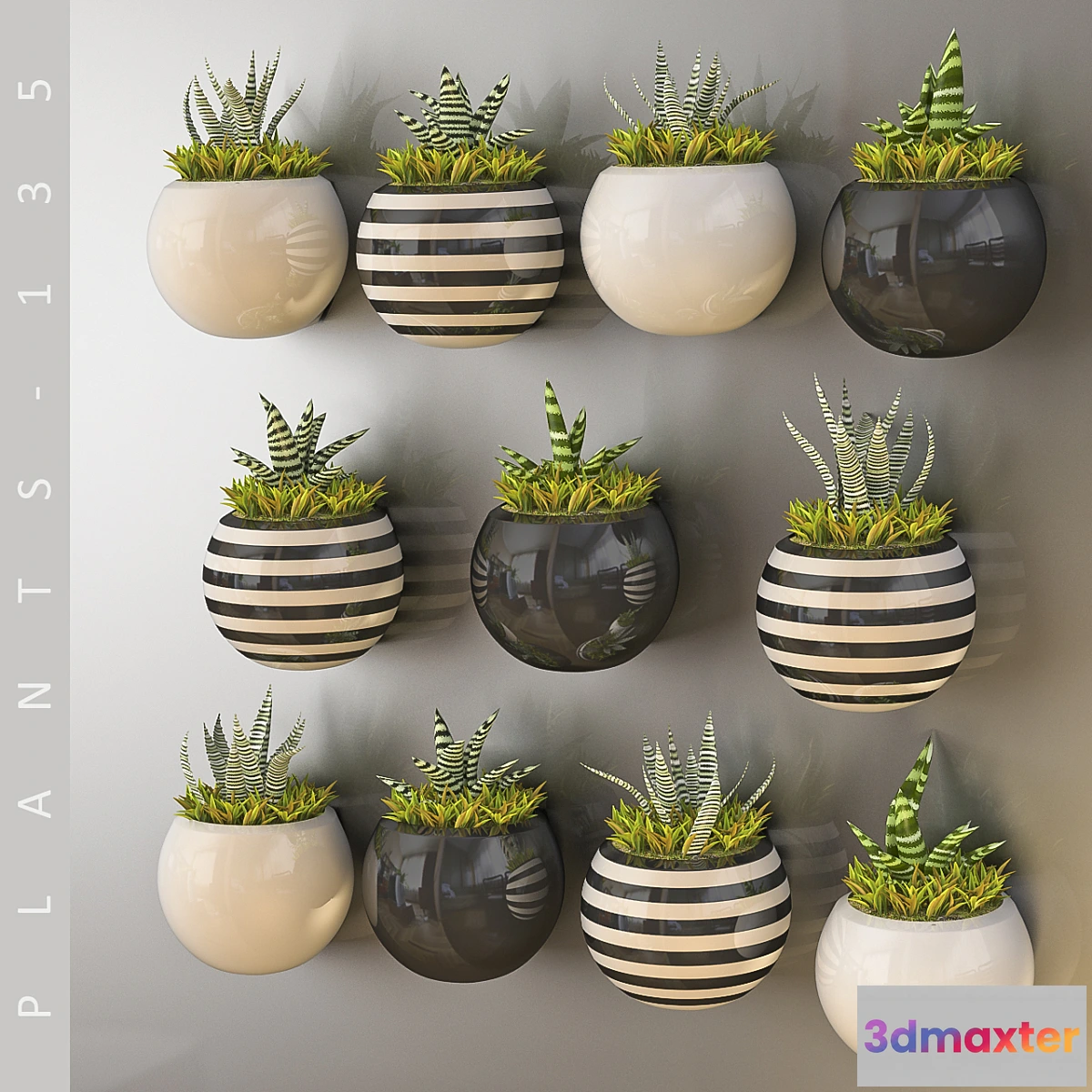 1424352 - PLANTS 135 3D Max