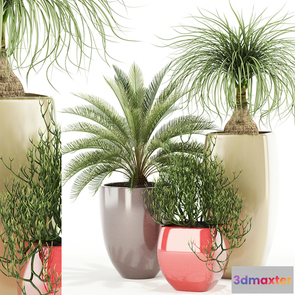 1424500 - Plants collection 101 Awesomeplanters 3D Max