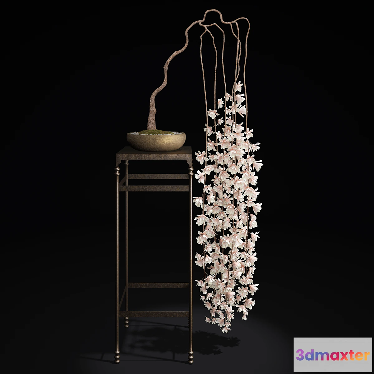 1424588 - Bonsai-Magnolia 3D Max