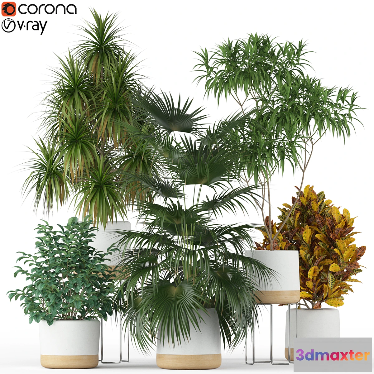 1424912 - Plants collection 203 3D Max