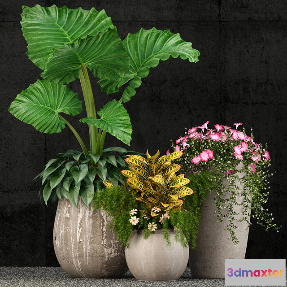 1425112 - Plants collection 52 3D Max