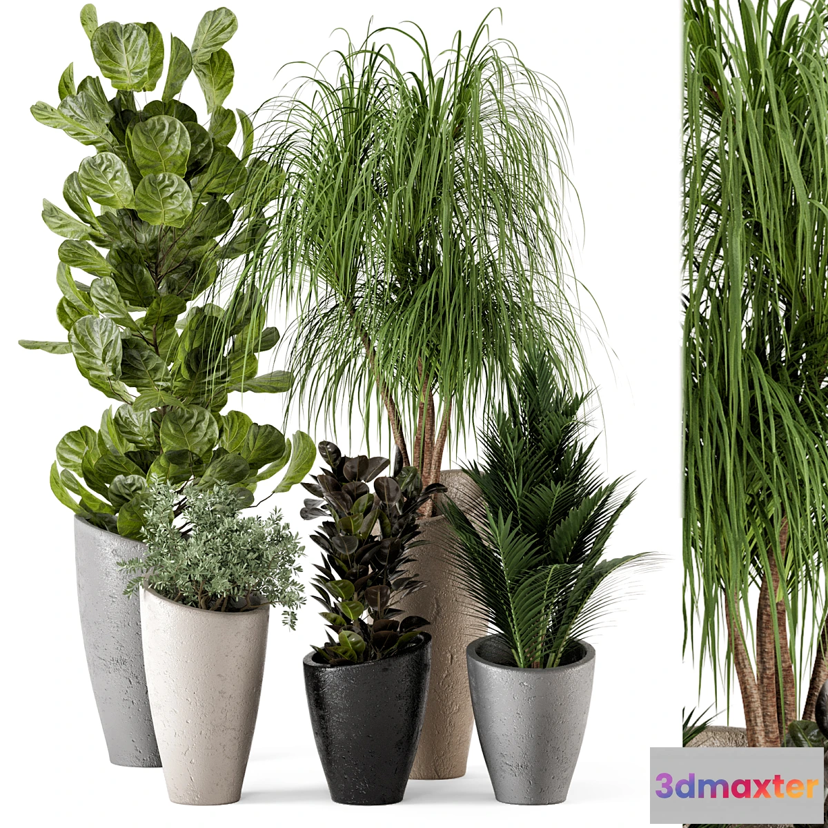 1425474 - Indoor Plants in rusty Concrete Pot - Set 240 3D Max