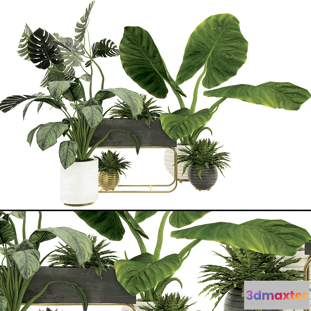 1425800 - Plant Collection Set 07 3D Max