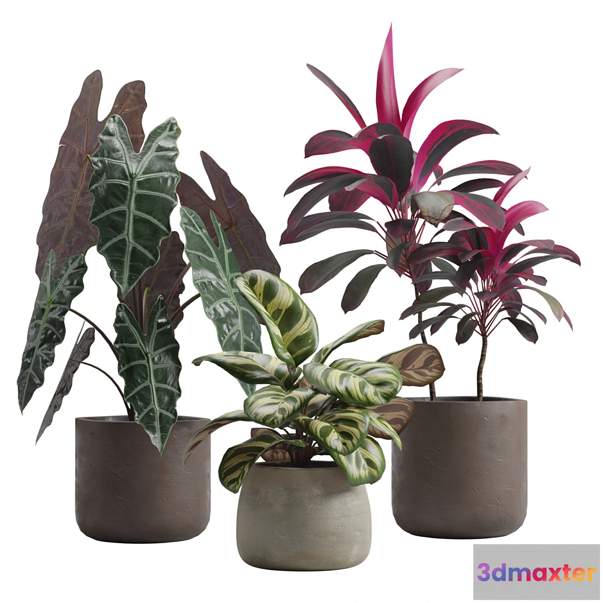 1426012 - Indoor Plants Pack 14 3D Max