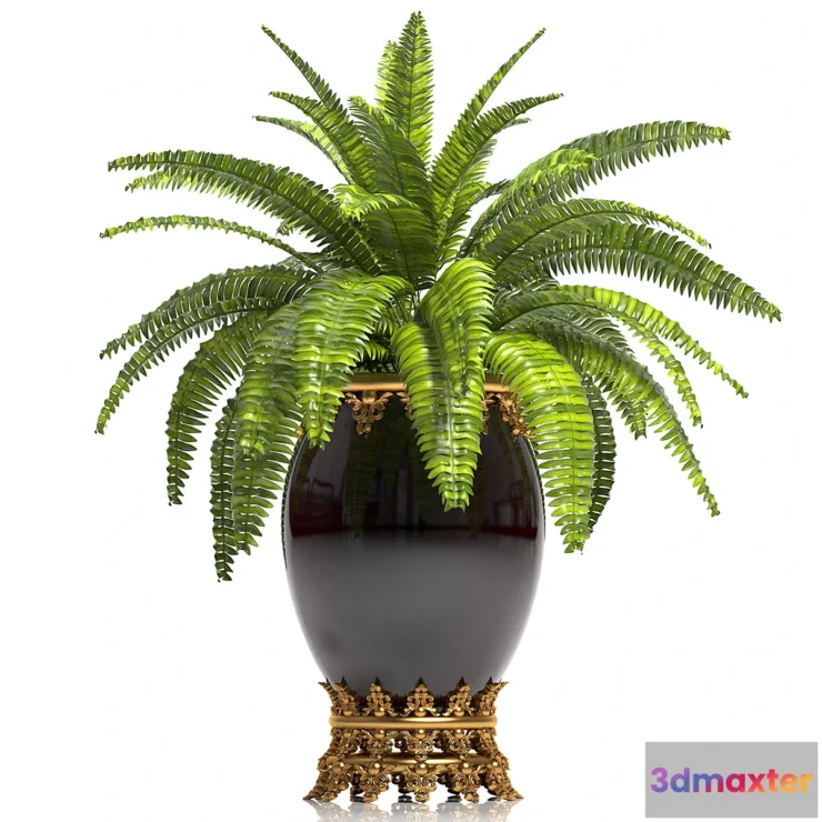 1426390 - PLANTS 14 3D Max