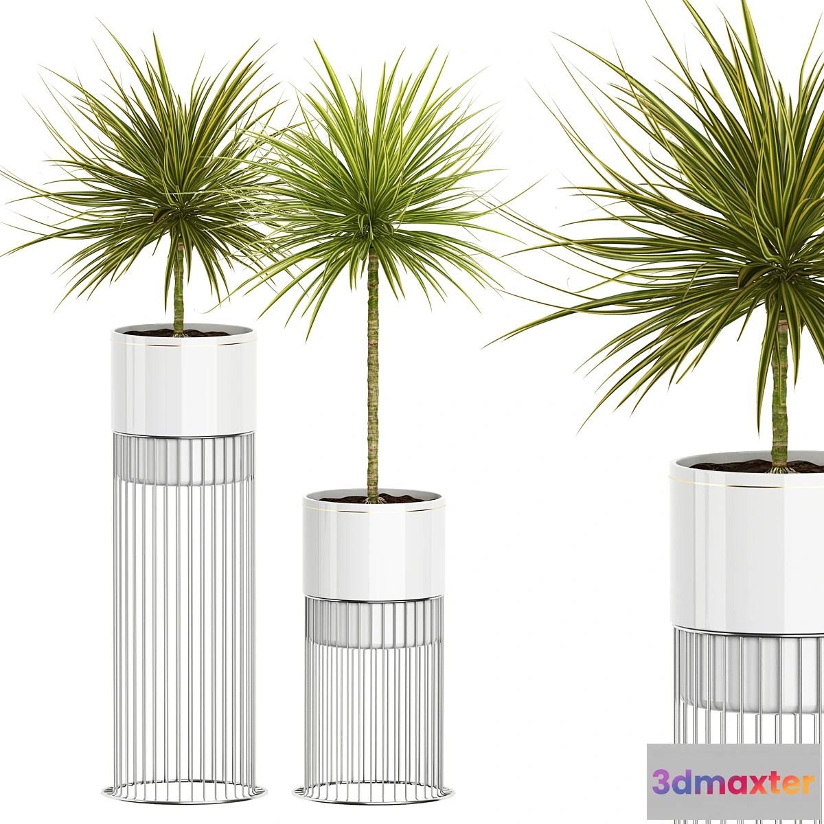 1426732 - INTERIOR FLOWER PACK 55 3D Max