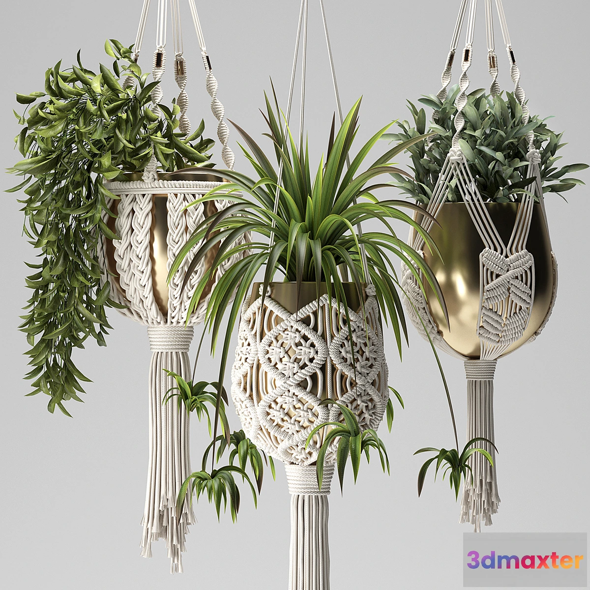 1426952 - Macrame Plant Hangers 3D Max