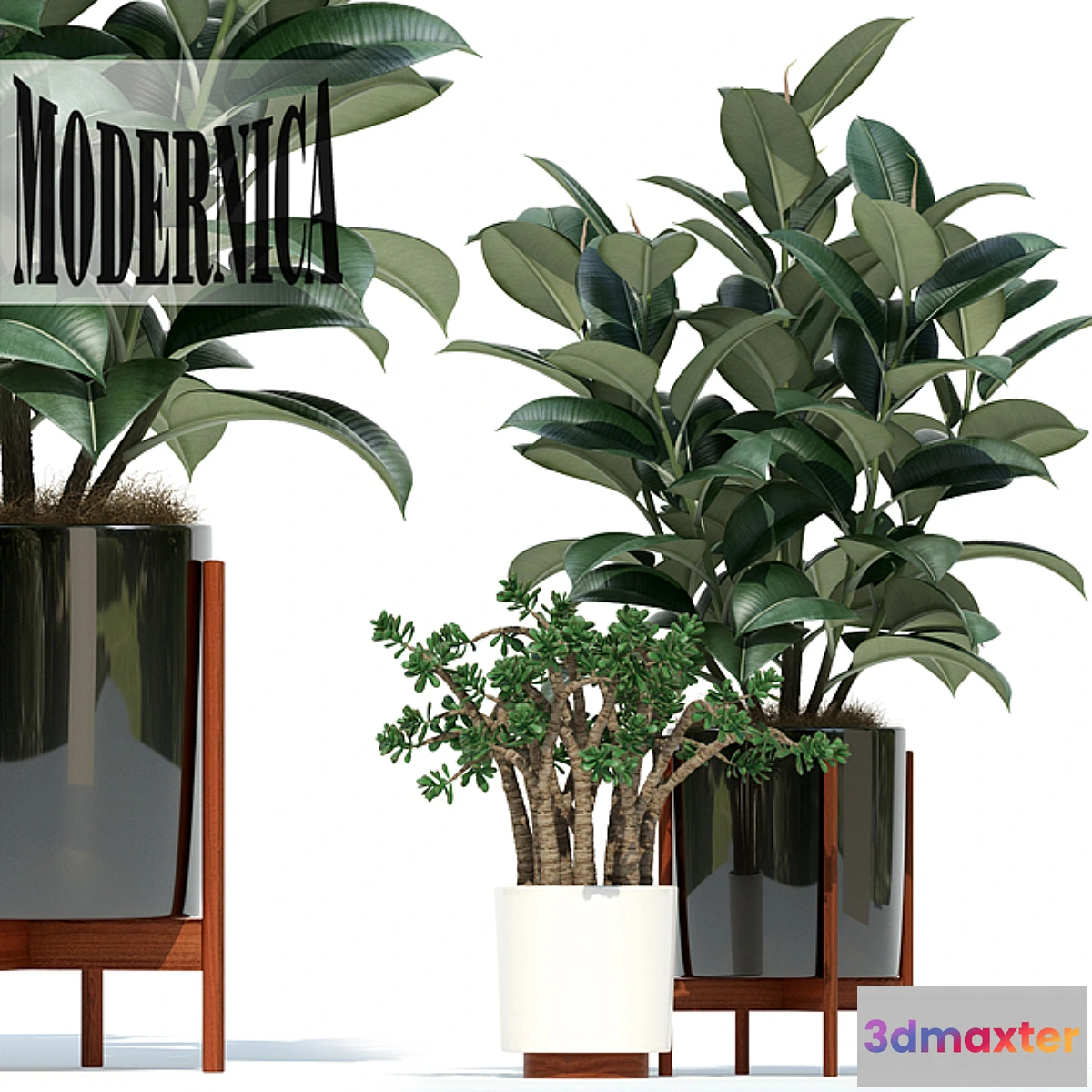 1427160 - Plants collection 72 Modernica pots 3D Max