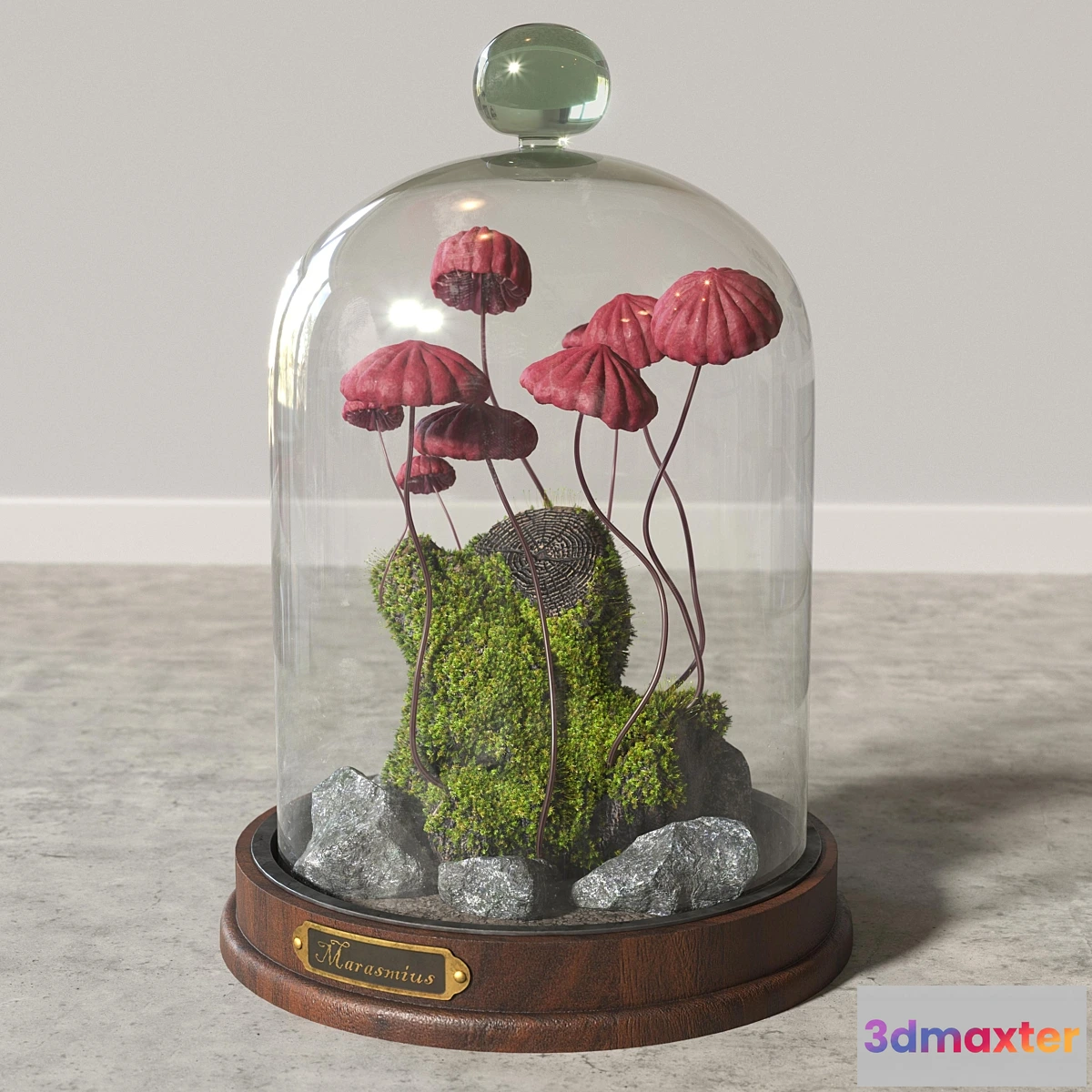 1427698 - Marasmius_Florarium 3D Max