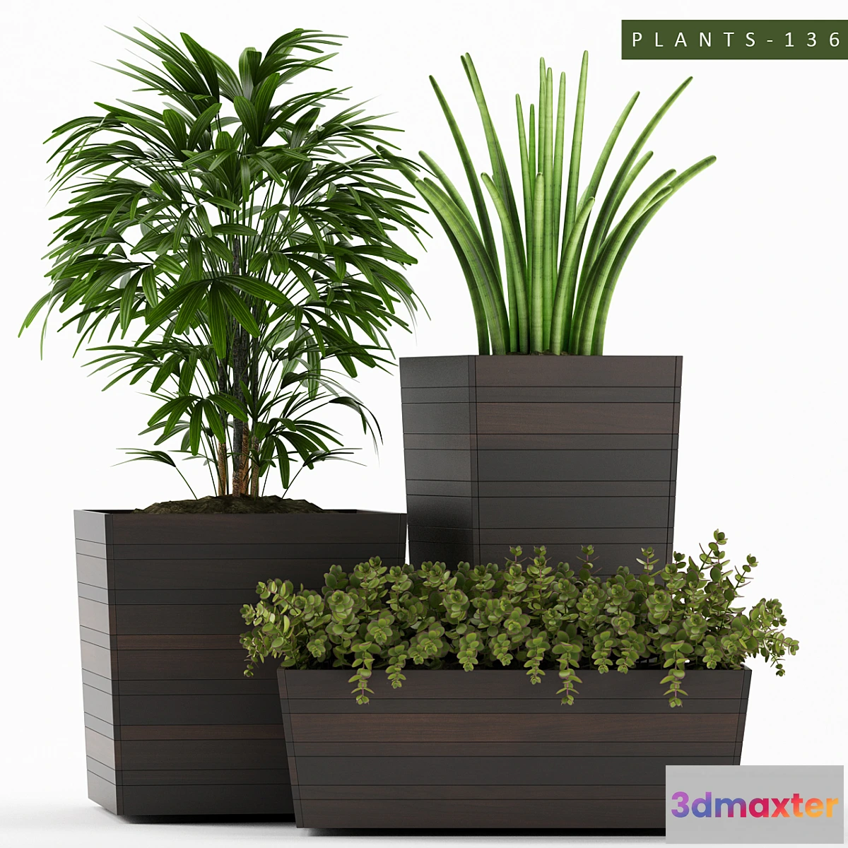 1427840 - PLANTS 136 3D Max