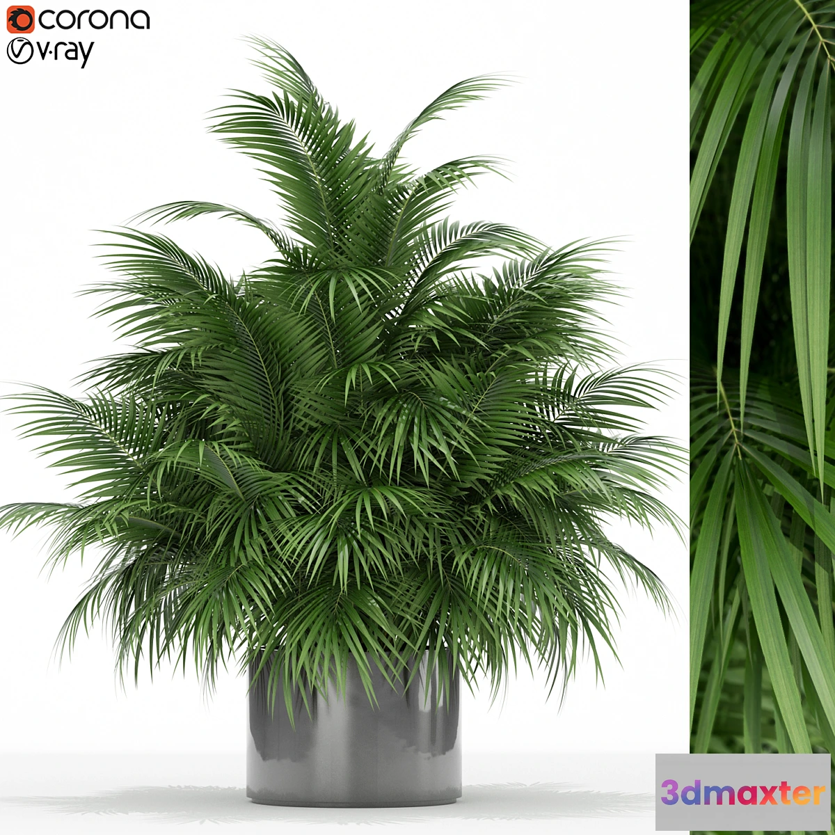 1427922 - Plants collection 177 3D Max