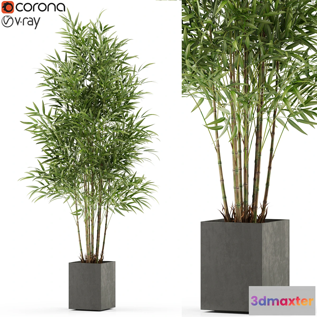 1428084 - Plants collection 479 3D Max