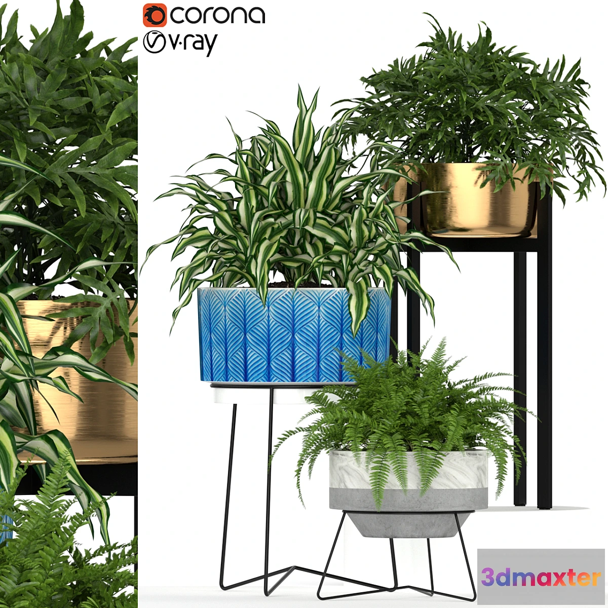 1428150 - Plants collection 191 3D Max