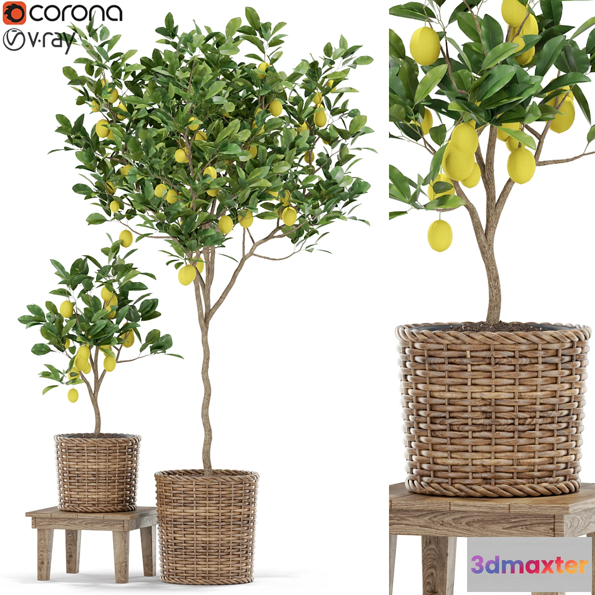 1428188 - Plants collection 422 3D Max