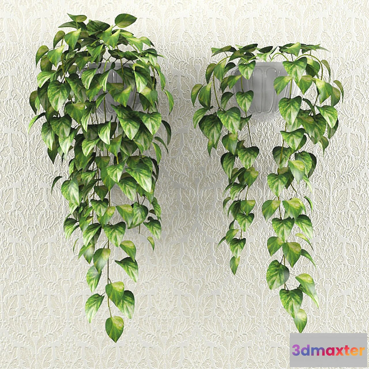 1428770 - loach 3D Max