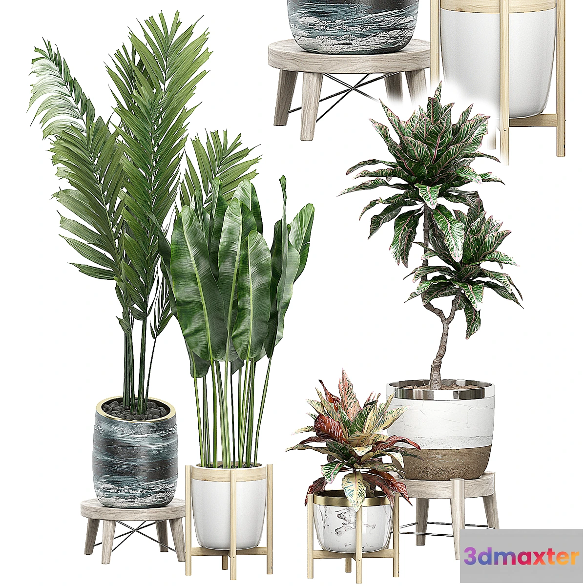 1429494 - INTERIOR FLOWER PACK 42 3D Max