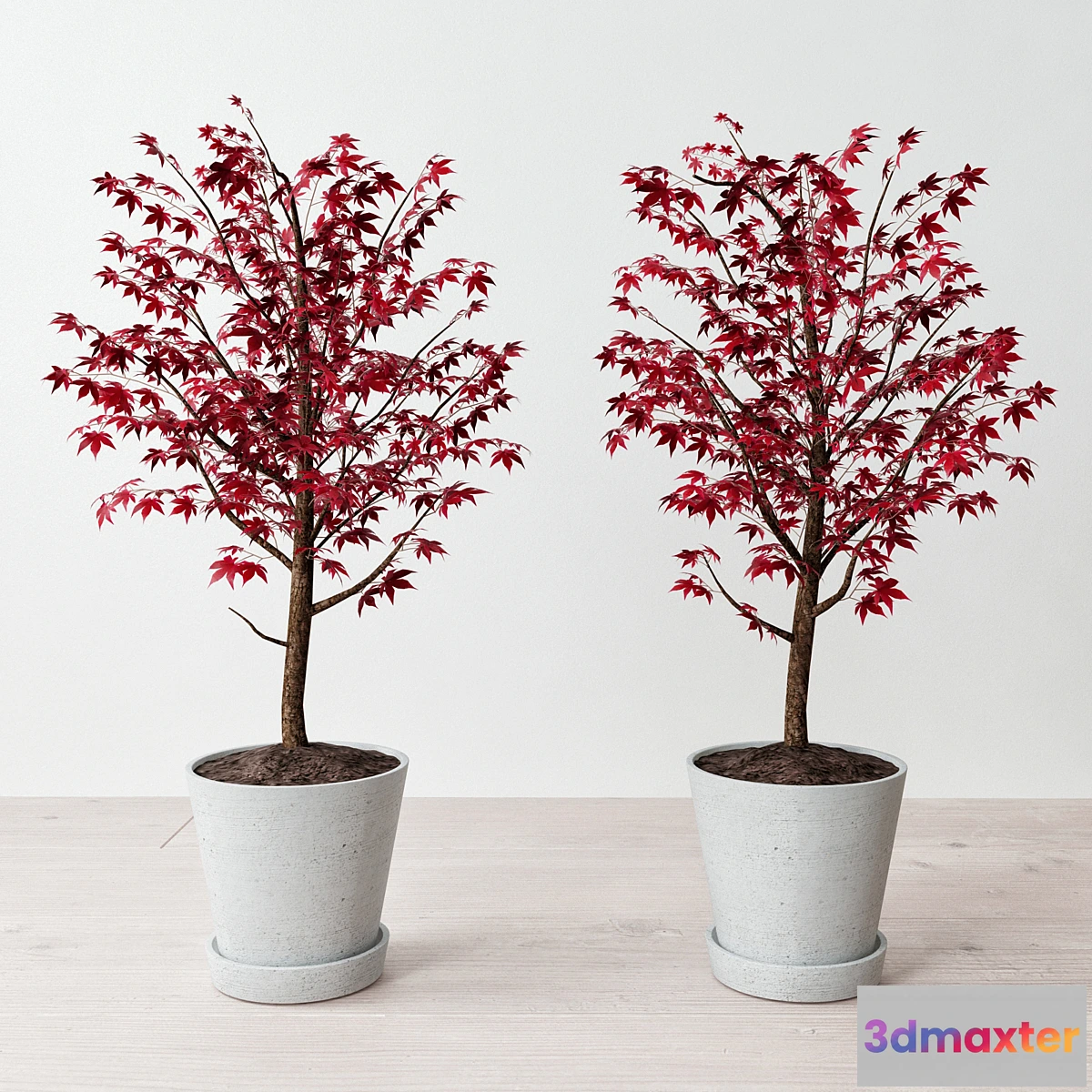 1429760 - Hay Flowerpot (maple in a pot) 3D Max