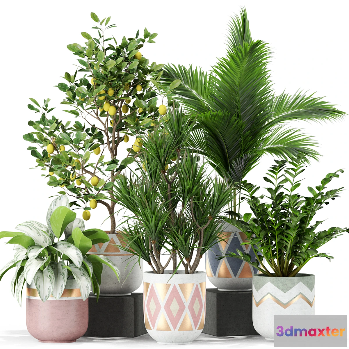 1430384 - Plants collection 442 3D Max