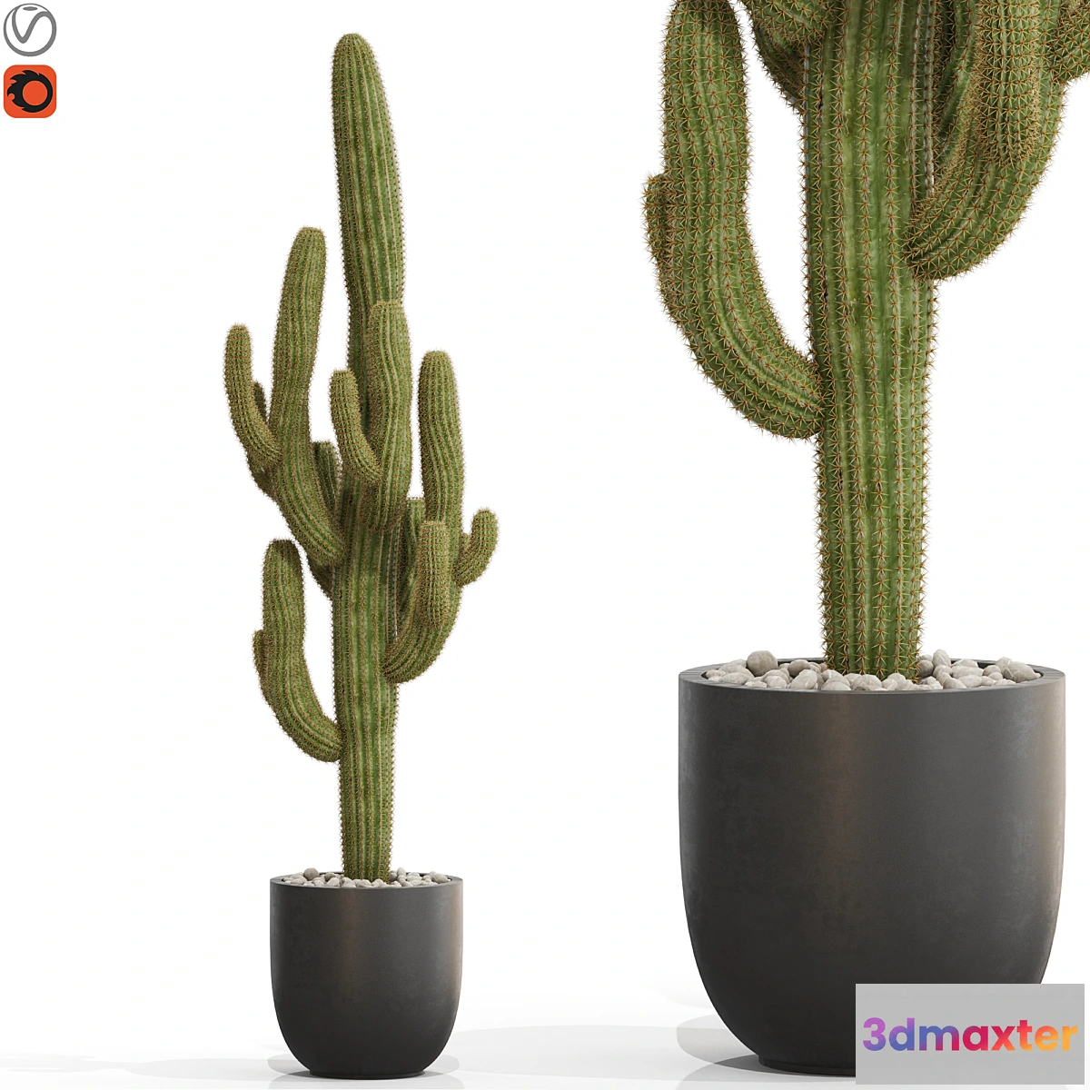 1430492 - Plants collection 690 3D Max