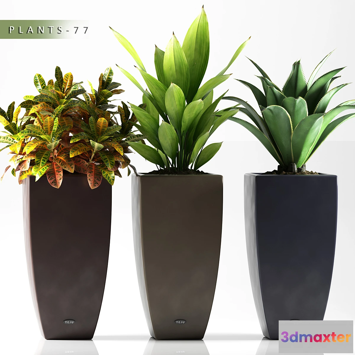 1430496 - PLANTS 77 3D Max