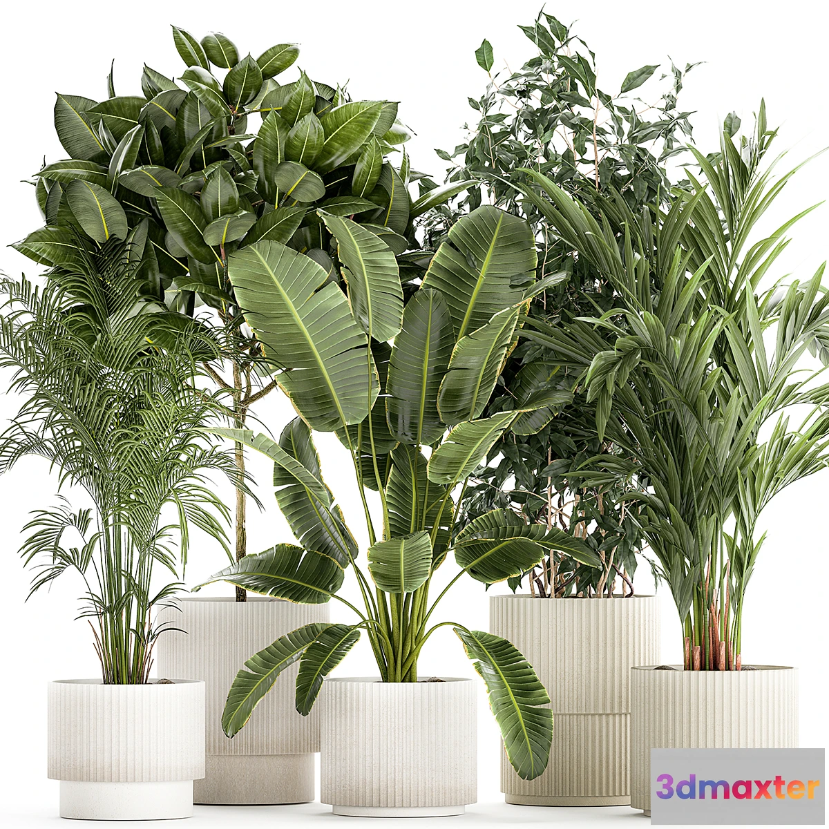 1431012 - Plant collection 1401 3D Max