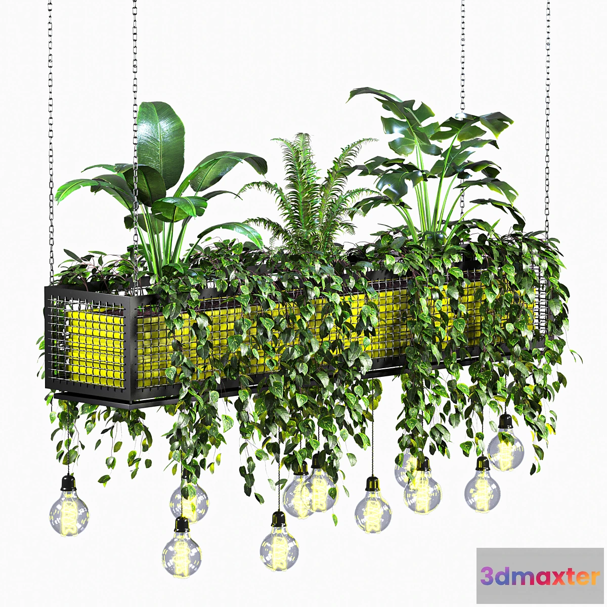 1433530 - hanging plant 01 3D Max