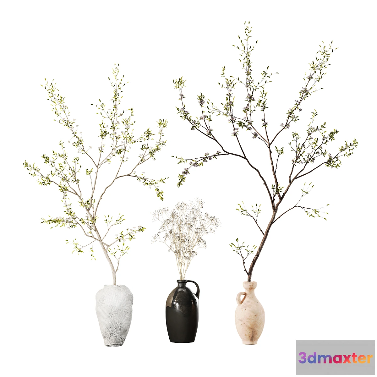 1434168 - Indoor Plant 01 3D Max