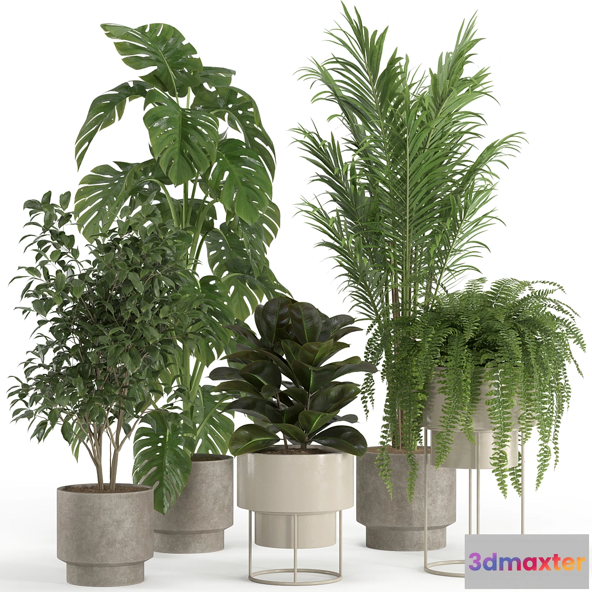 1434240 - indoor plant set 021 3D Max