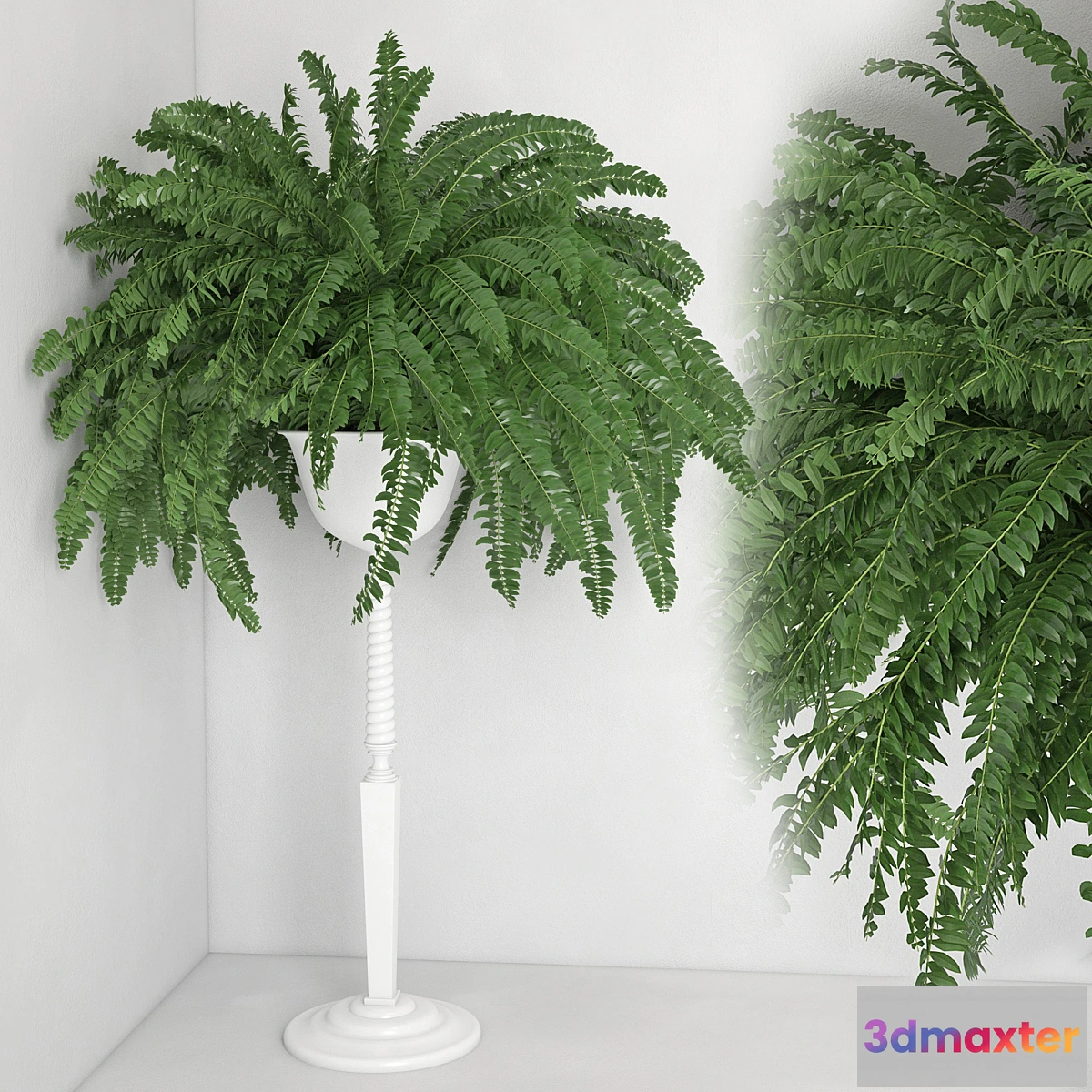 1434272 - Houseplant 21 3D Max