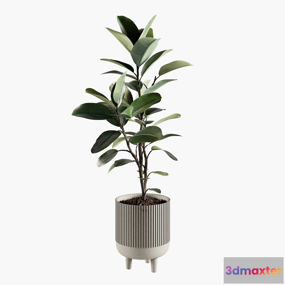 1435988 - Indoor Plants Set 07 3D Max