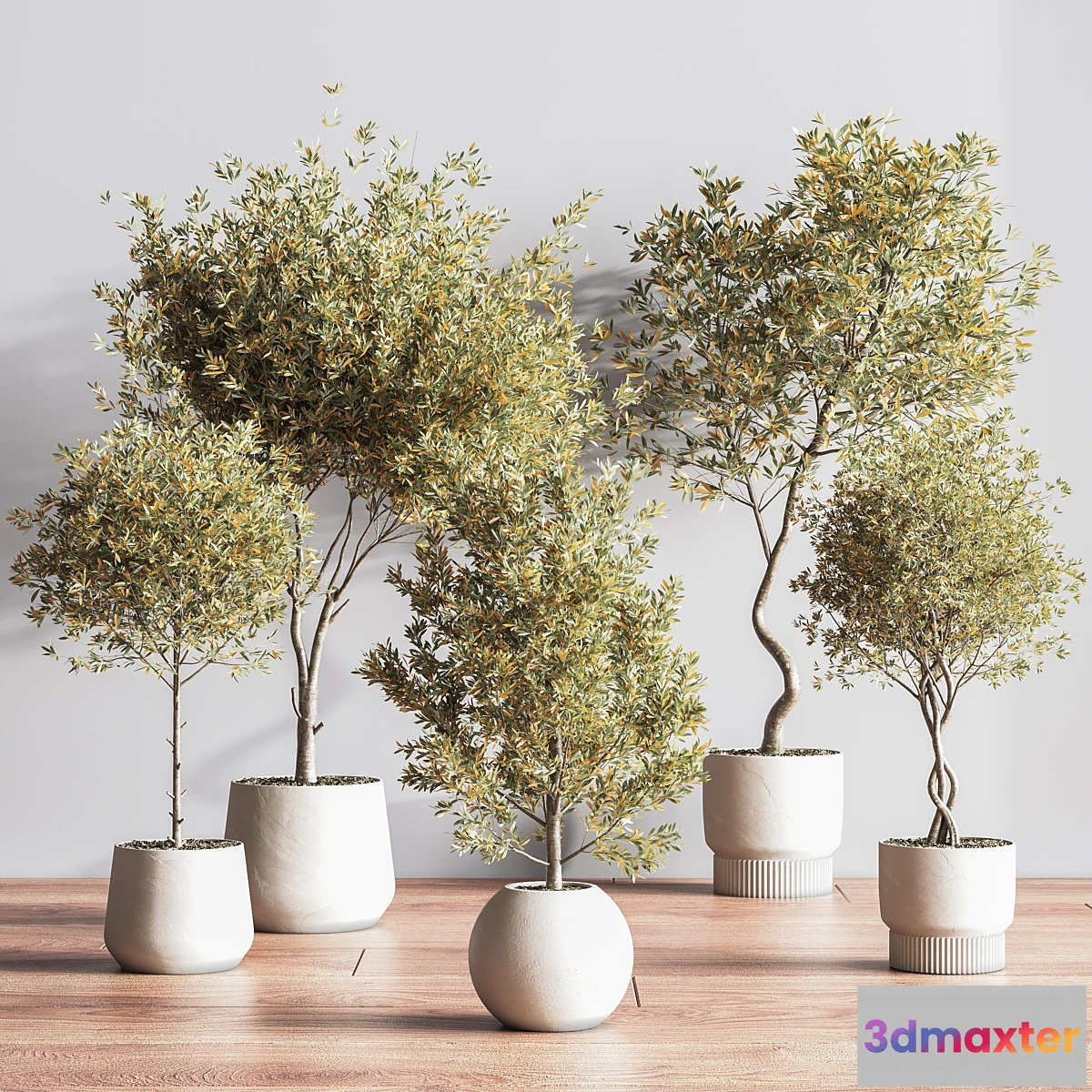 1436088 - IndoorSetPlant054 3D Max