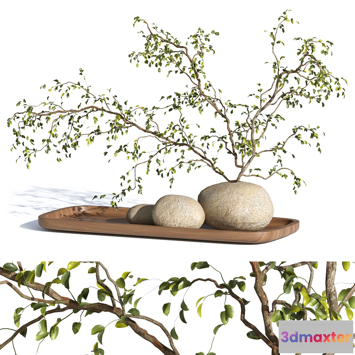 1436288 - plant decor 3D Max