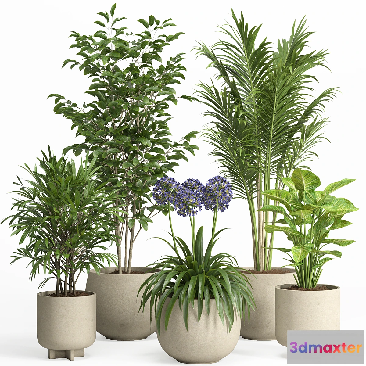 1436748 - indoor plant set 026 3D Max