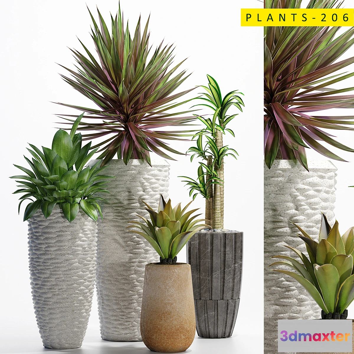 1436936 - plants_206 3D Max