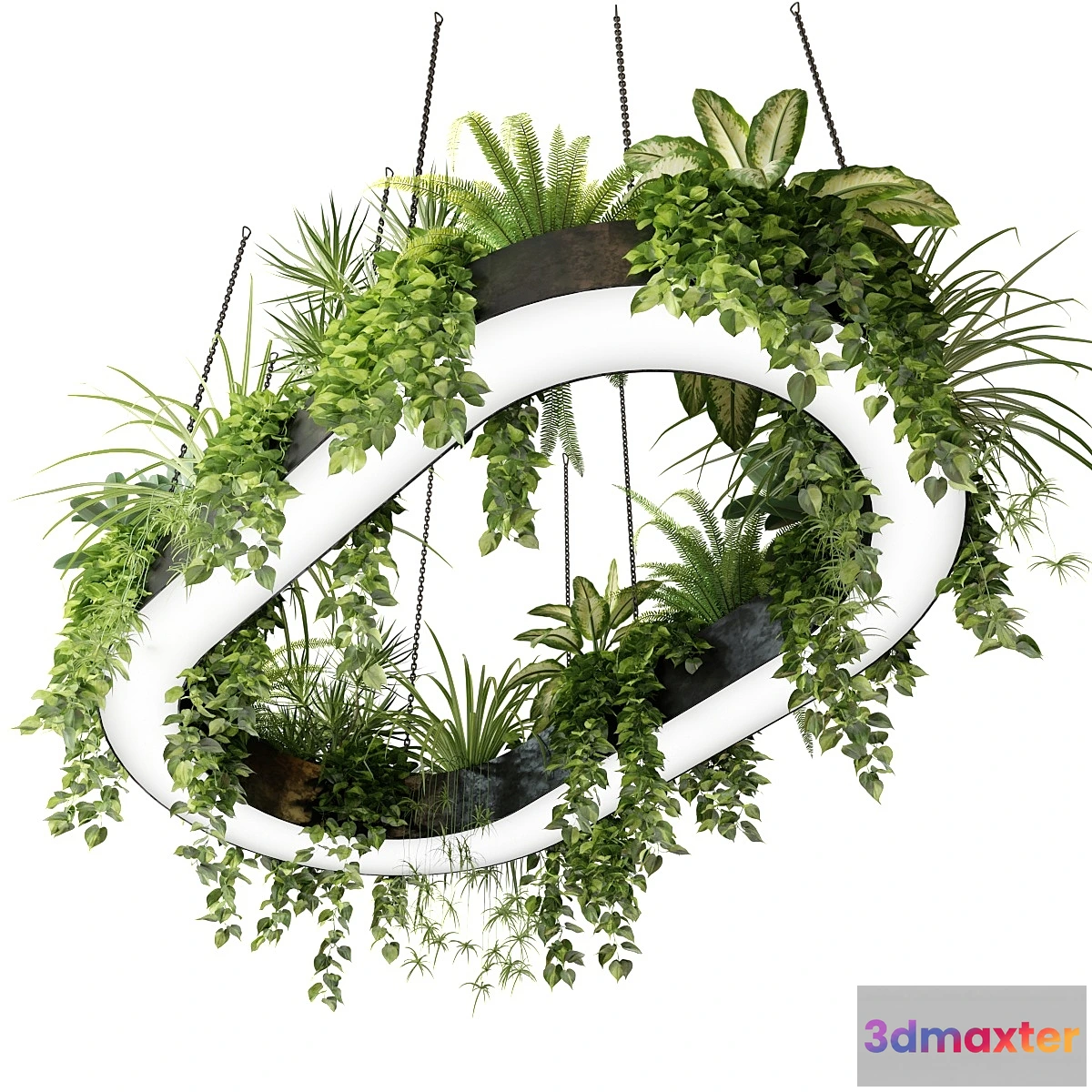1437962 - Ring planter lamp with plants 1.5m x 2.5m 3D Max