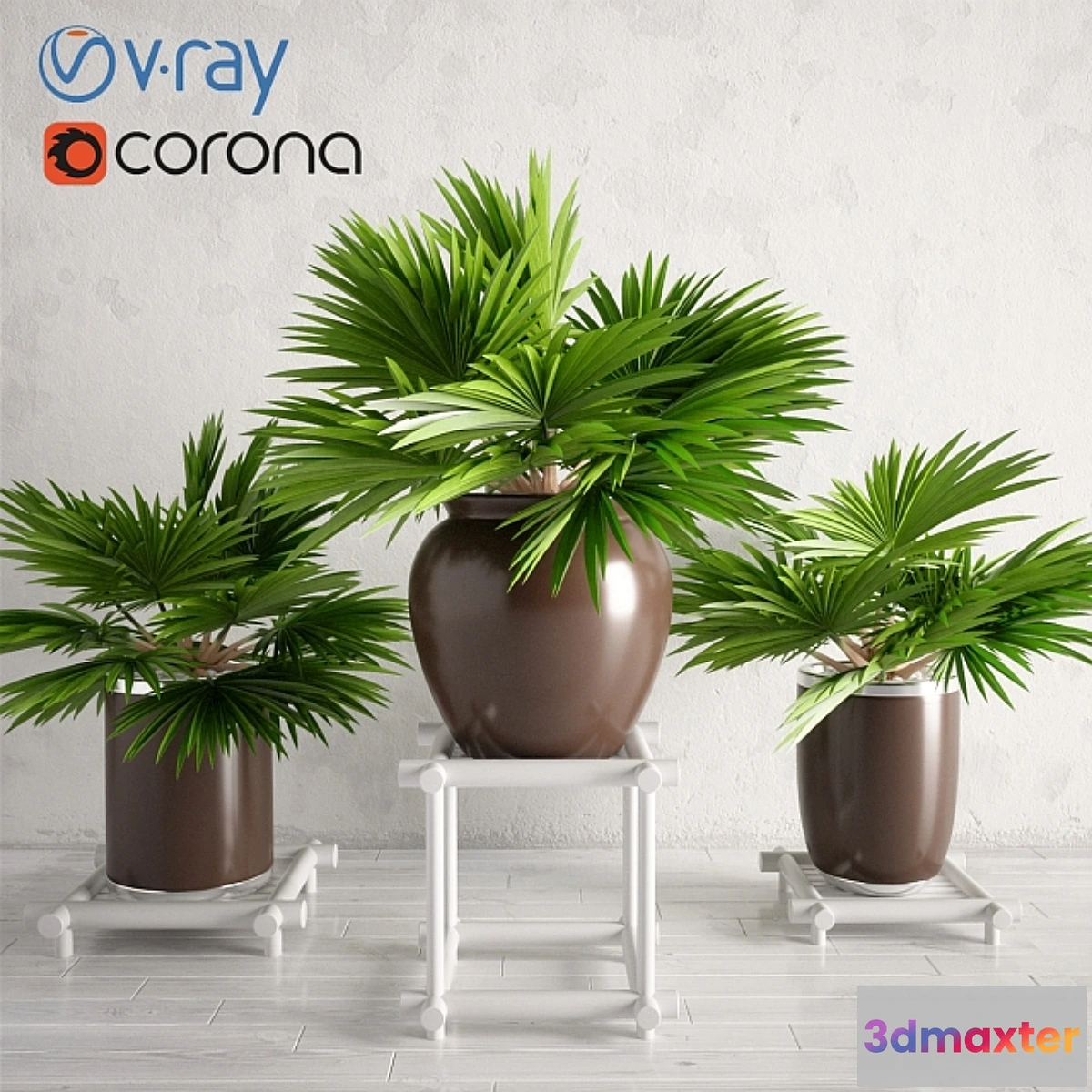 1438160 - Potted Palm Plants Collection 003 3D Max