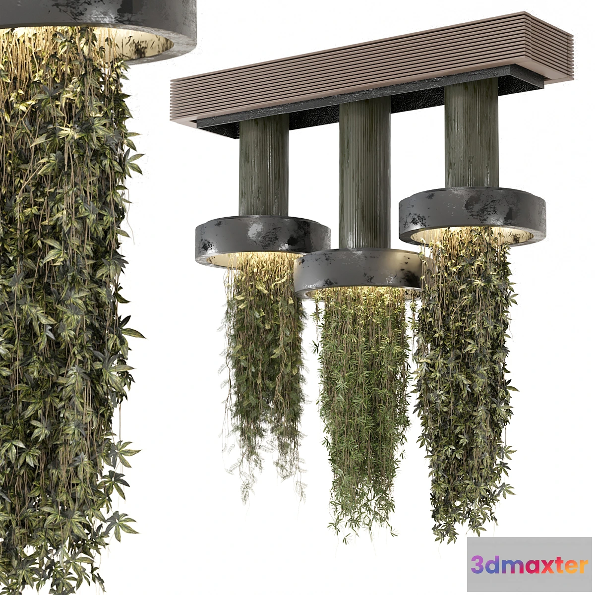 1438196 - indoor Plants Collection set_12 hanging65 3D Max